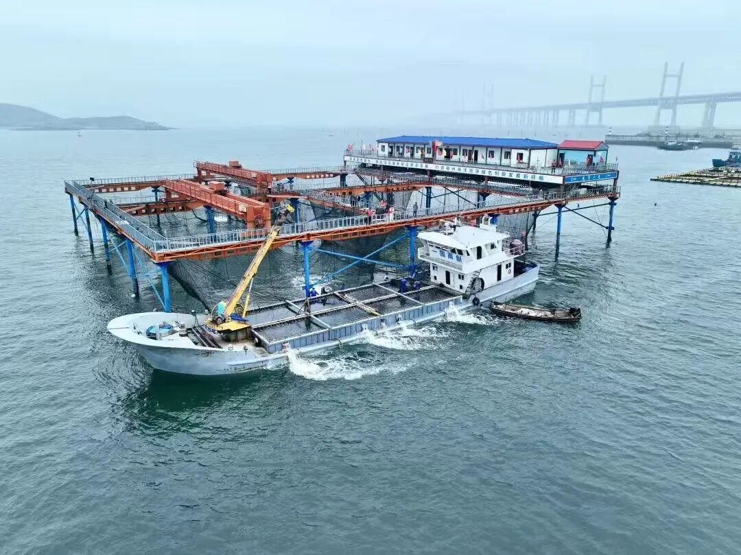 吴航向海潮起时福州新区(长乐区)深耕蓝色海洋经济(图3)