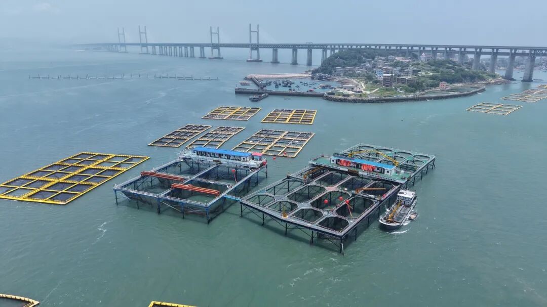 吴航向海潮起时福州新区(长乐区)深耕蓝色海洋经济(图4)