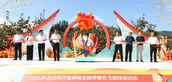活动现场