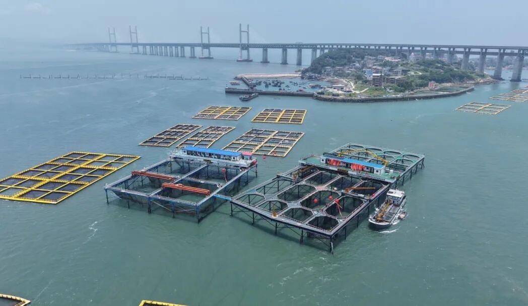 福州新区（长乐区）深耕蓝色海洋经济