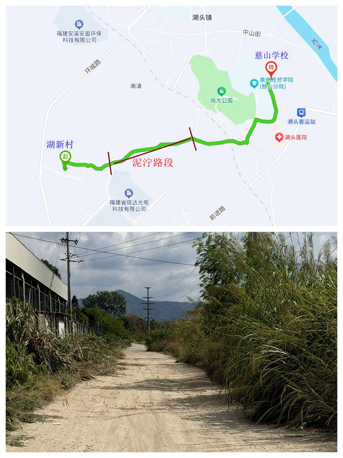 湖新村至慈山學校的機耕路。李女士供圖