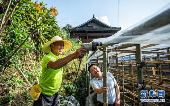 （圖文互動）（5）貴州食用菌產業助農就業增收