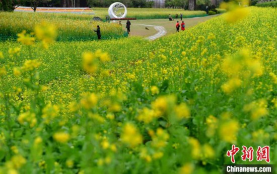 福州:花海公园变花海