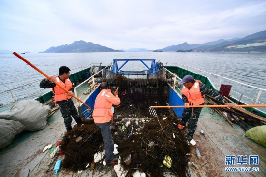 福建宁德:清理海漂垃圾 保护海洋环境