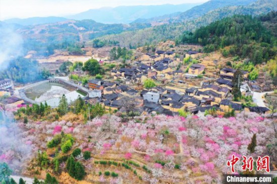 【網絡媒體革命老區行】山鄉舊貌換新顏福建屏南的生態致富路