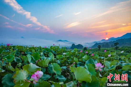 建宁生态产业集聚:老区山水如画 农林点绿成金