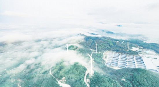 一台台巨大的风力发电机屹立在梅岭镇海岸，颇为壮观。
