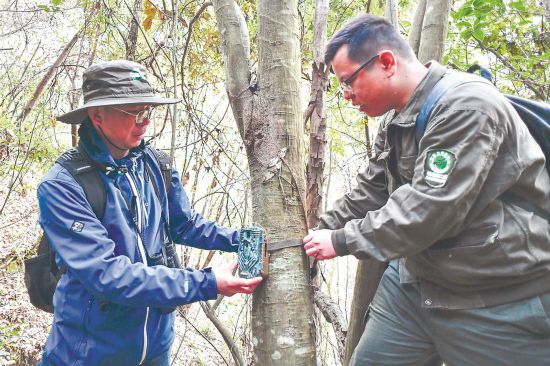 省林业调查规划院高工王战宁（左）指导保护区工作人员布设红外相机。