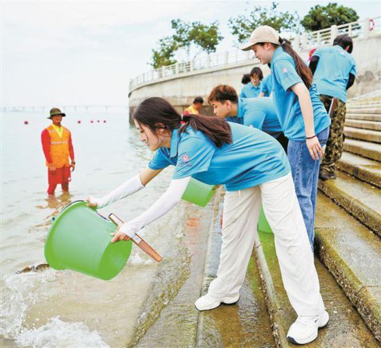 现场嘉宾参与放流真鲷。记者 卢剑豪摄