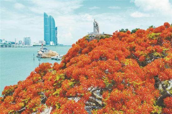 廈門是一座高素質高顏值現代化國際化的城市。圖為鷺江兩岸美景。記者 林銘鴻攝